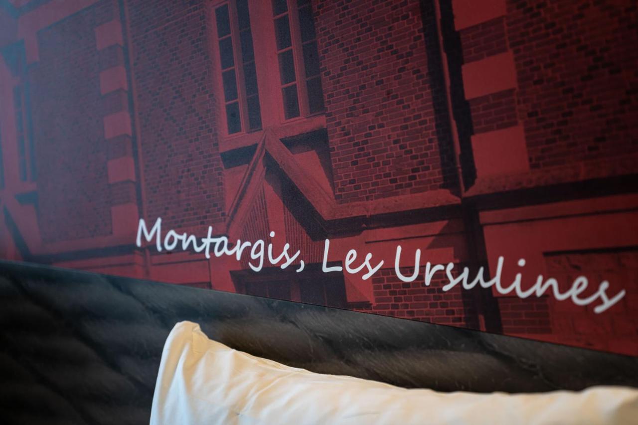 Hotel ibis Montargis Esterno foto